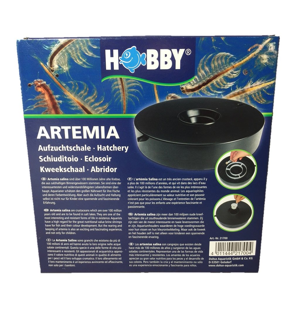 Cara menumbuhkan udang air laut dari telur hingga dewasa