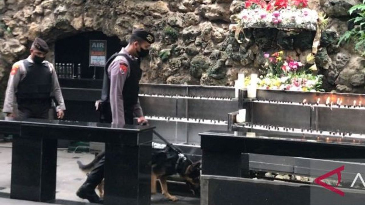 Mengapa Anjing Membuat Sarang
