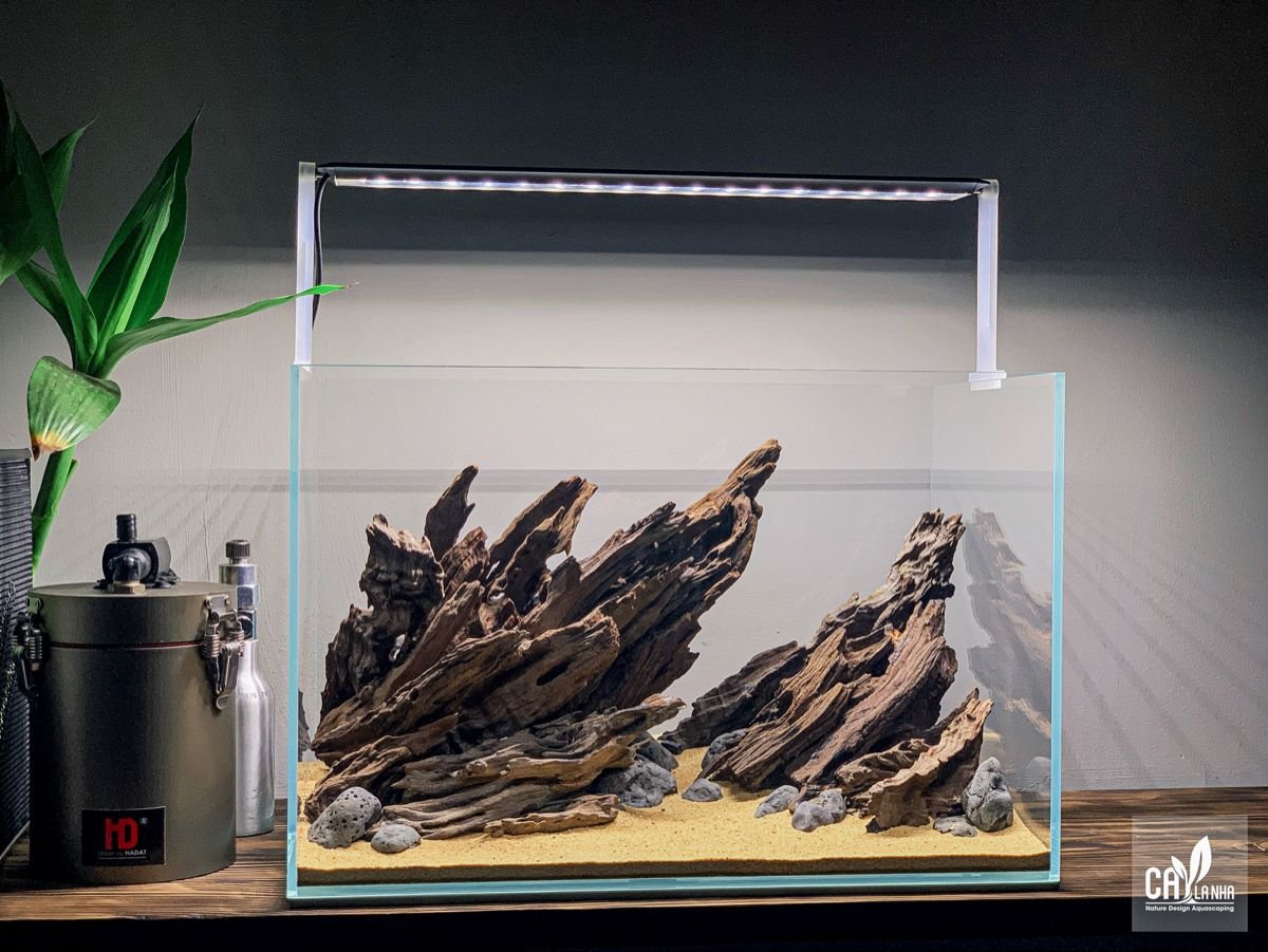 Cara membersihkan dan mencegah endapan putih pada kaca akuarium