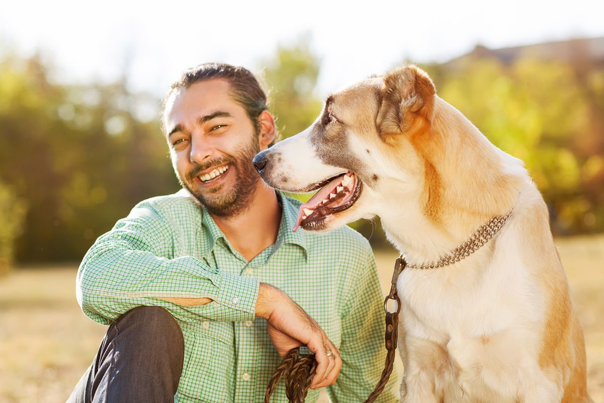 Mengapa Anjing Menggosok Wajah Mereka? Penyebab Umum yang Dijelaskan