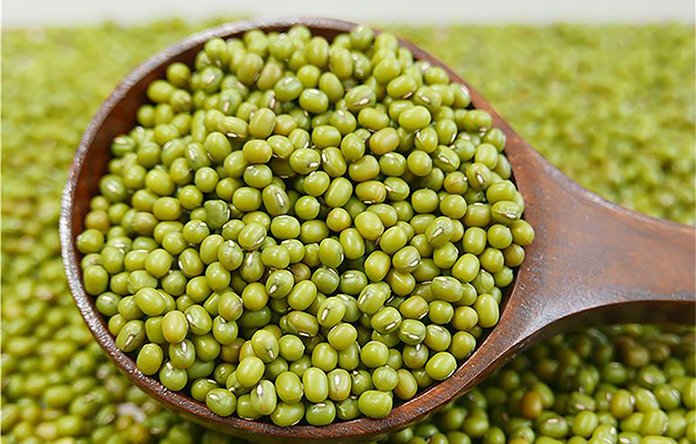 Apakah Anjing Bisa Makan Kacang Hijau?