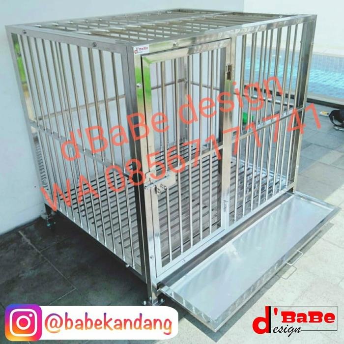 Apa yang Harus Dilakukan Jika Anak Anjing Anda Sembelit