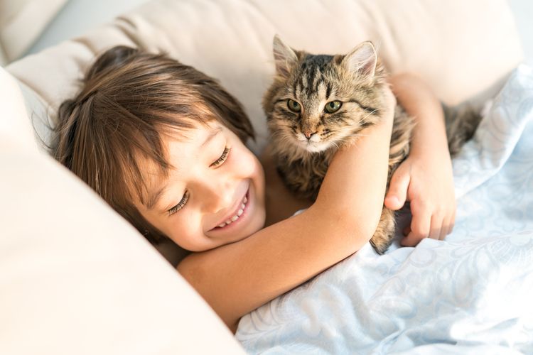 Suku Kucing yang Cocok untuk Anak-Anak sebagai Teman Bermain