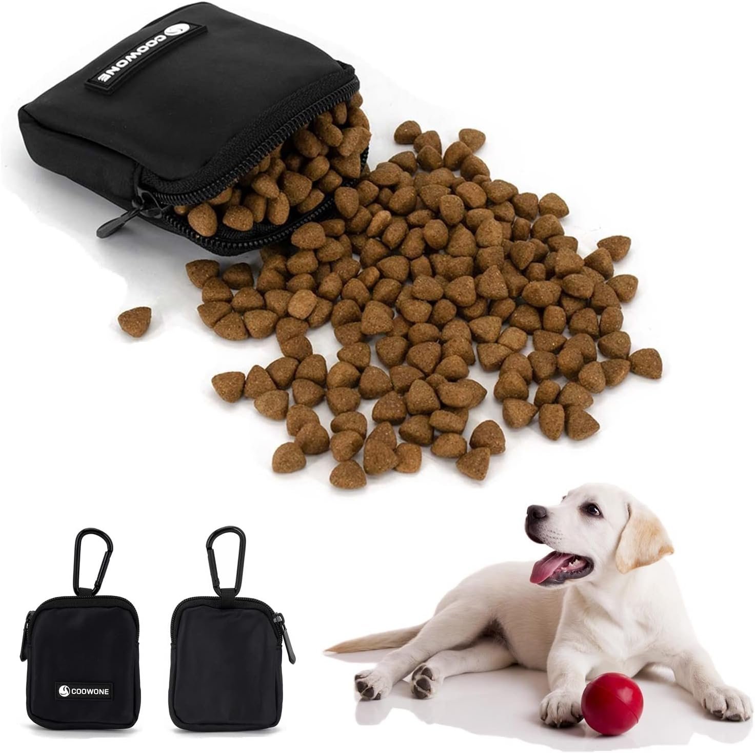 Cara Melatih Anjing Anda dengan Penguatan Positif