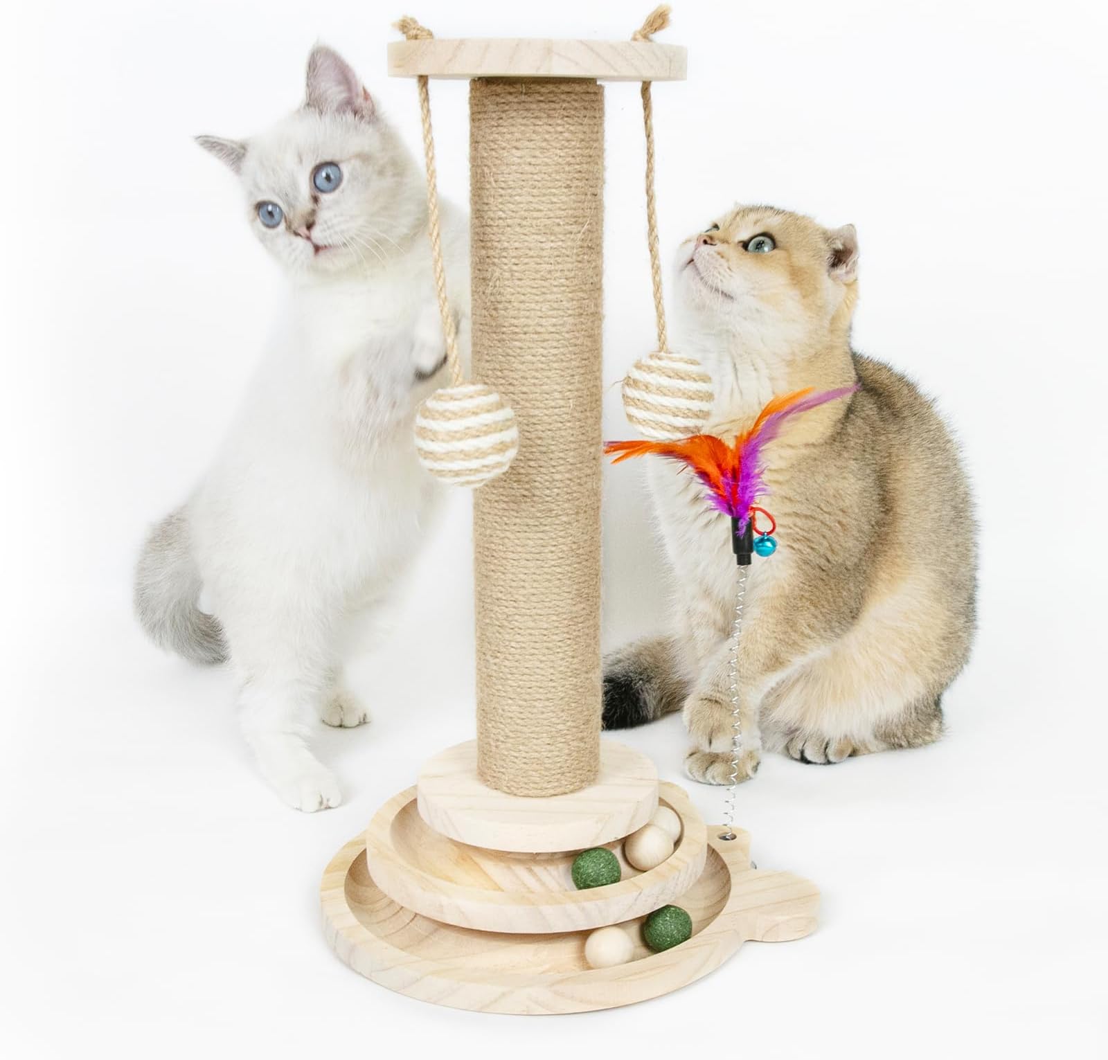 8 Pilihan Tempat Bersarang Kucing Terbaik Tahun 2025