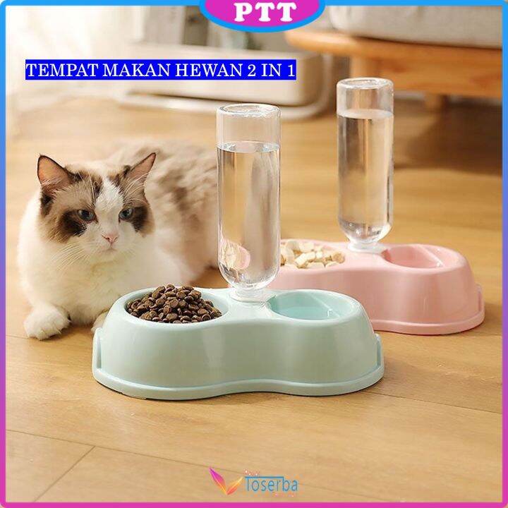 Mengapa Kucing Saya Terus-Menerus Menggulingkan Mangkuk Airnya?