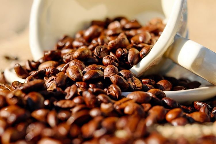 Sejarah Kopi: Dari Penggembala Kambing Ethiopia ke Seluruh Dunia