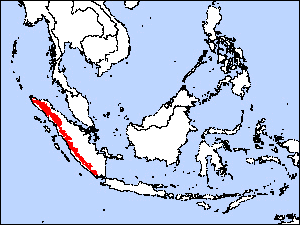 Mengapa Kucing Betina Menyemprot?