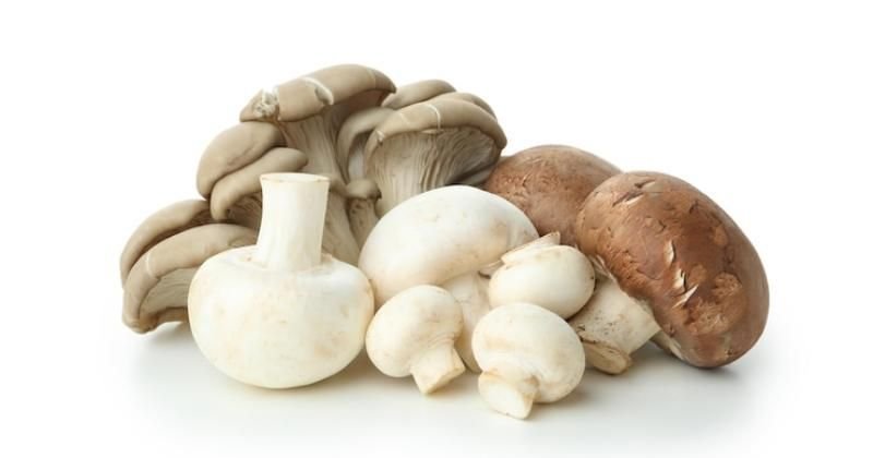 Cara Membuat Kaldu Jamur untuk MPASI, Sederhana dan Bergizi