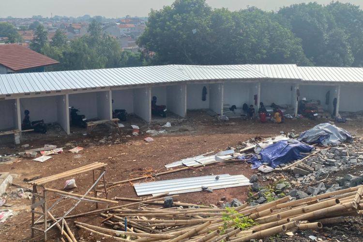6 Jenis Loach untuk Akuarium Anda