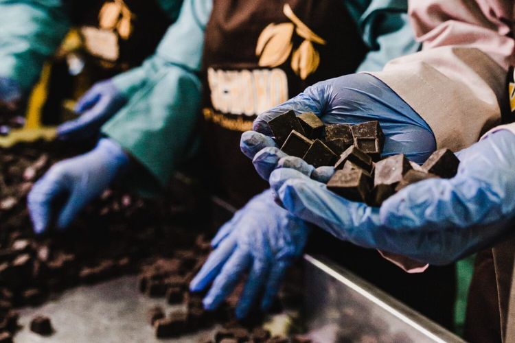 Wahana Interfood (COCO) Siap Ekspansi ke Produk Turunan Kakao