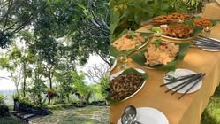 Kuliner Seru di Banyuwangi: 8 Tempat Terbaik 2025 Jawa Timur