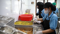 Gaji Karyawan Dapur MBG: Ini Besaran Gaji dari Kepala Dapur hingga Pengemasan!
