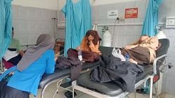 Isu Keracunan Makanan Gratis, Ini Standar Pangan Sekolah yang Harus Diketahui