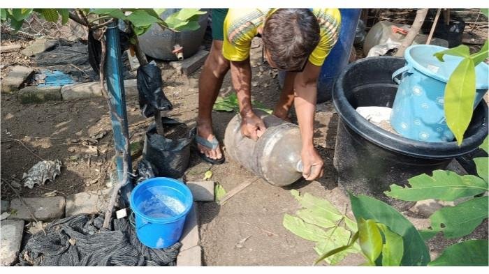 Pertamina Jawa Barat Perkenalkan BIOGATOR untuk Rehabilitasi Mangrove