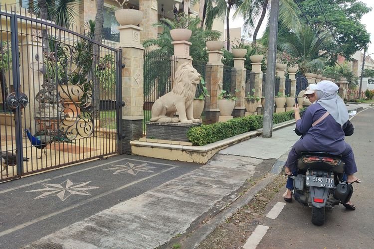 Ketika Burung Merak Berjalan di Duren Sawit, Pamer Ekor Indah ke Warga