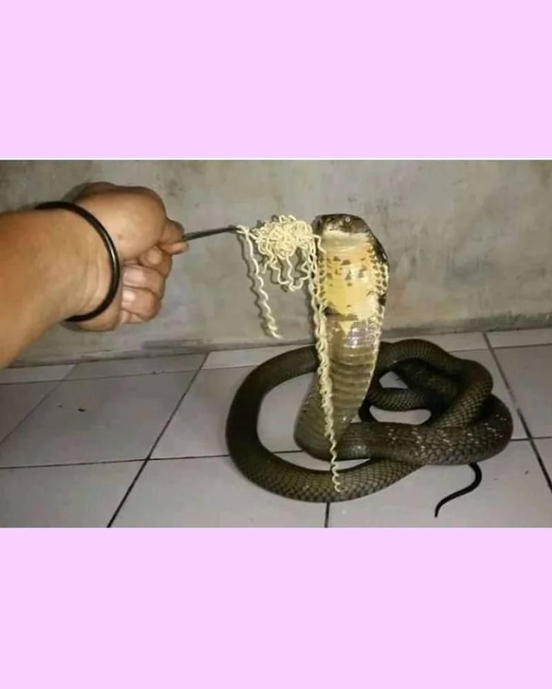 D-HUB SEZ di BSD City: 4 Sektor Terintegrasi