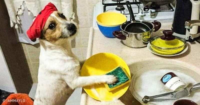 Ahli: Rantai Produksi Harus Bersih, Masyarakat Perlu Pahami Pencegahan Keracunan Makanan