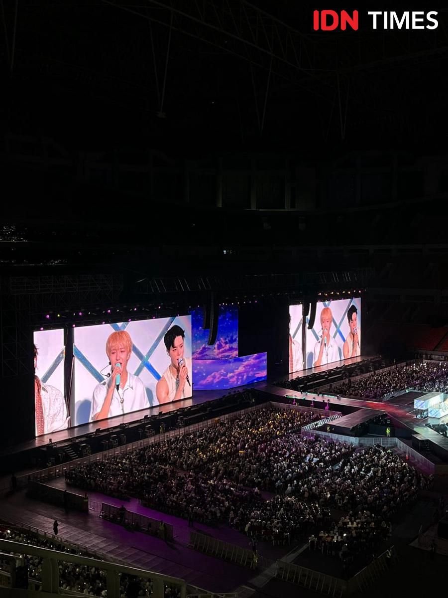 Kehamilan pada Kelinci: Panduan tentang Kehamilan Kelinci