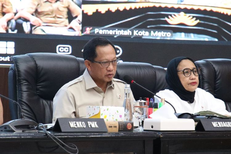 6 Kandang Kucing Terbaik Tahun 2025