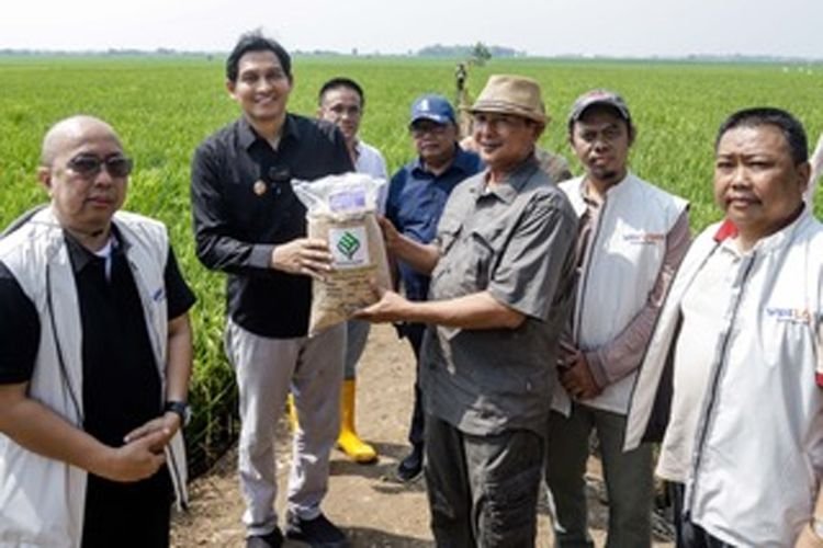 Cara Menghadapi Anjing Takut, Malu, atau Agresif