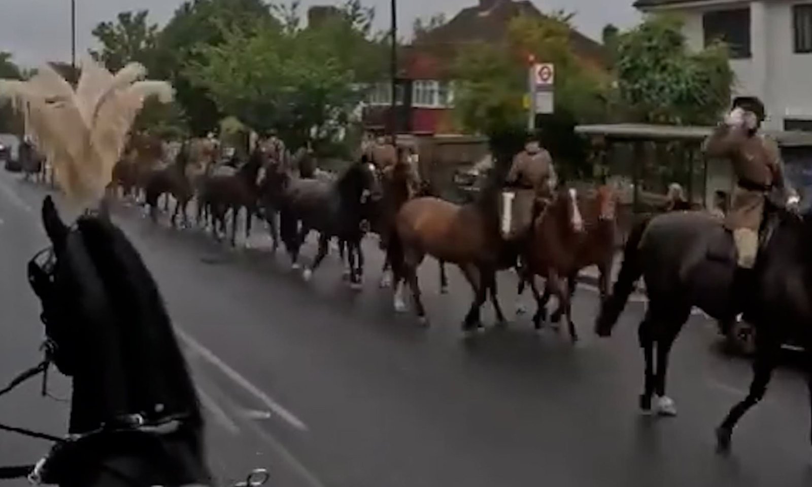 Emotional Pause: Troop Honors Funeral Horses with Salute