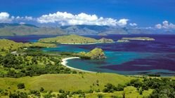 Benarkah NTT Terpecah Jadi 3 Provinsi Baru? Ini Fakta dan Tantangannya