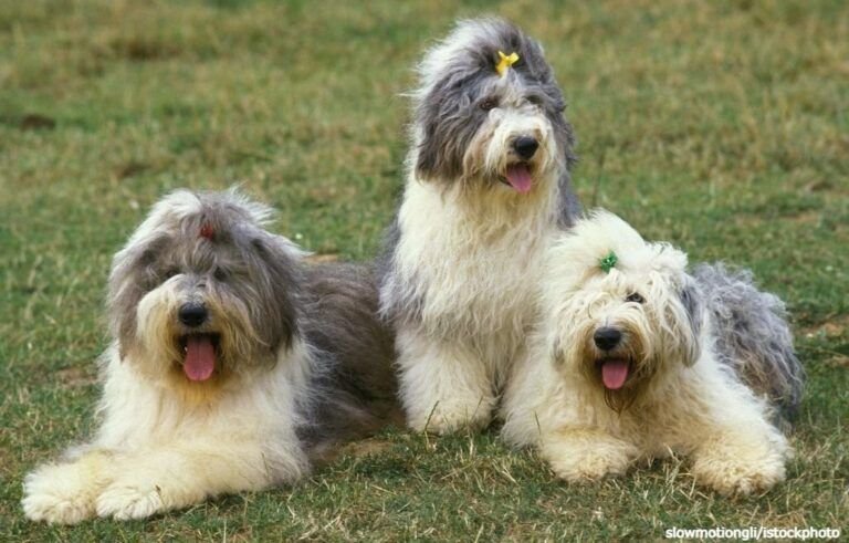 Kemhan Serahkan 4,8 Juta Vitamin ke Dapur MBG Jakarta