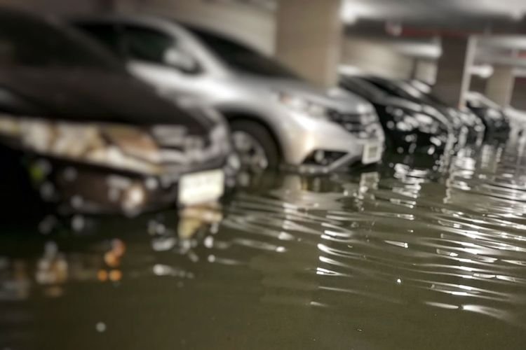 Pengusaha Bocorkan Alasan Tak Mau Beli Mobil Bekas Banjir