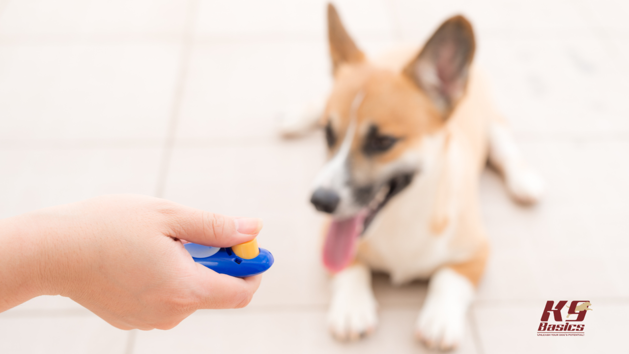 Jadwal MotoGP 2025 di Mandalika: Siaran Trans7 Termasuk Sprint dan Race, Bagnaia Berapi-api