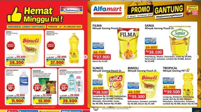 10 Suku Kuda Terbaik untuk Menarik Kereta Kuda