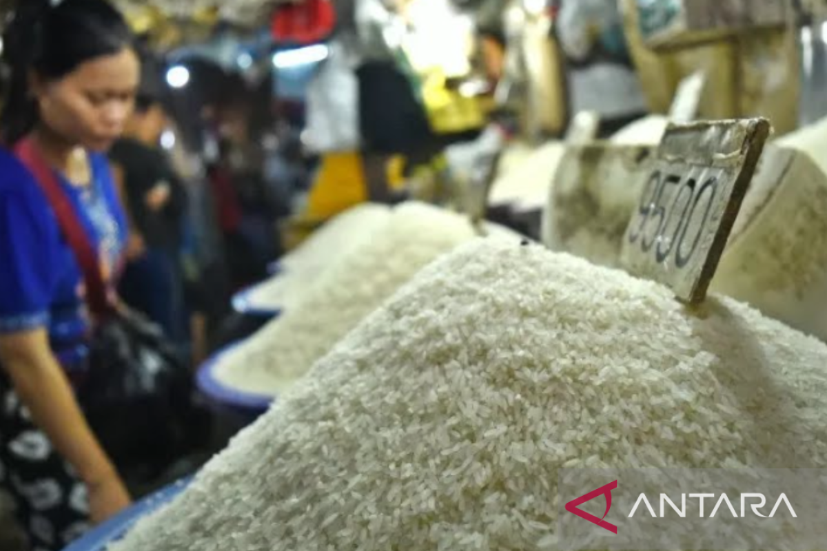 Pembaruan Harga Kebutuhan Pokok Cilacap 1 Oktober 2025, Beras dan Cabe Merah Turun