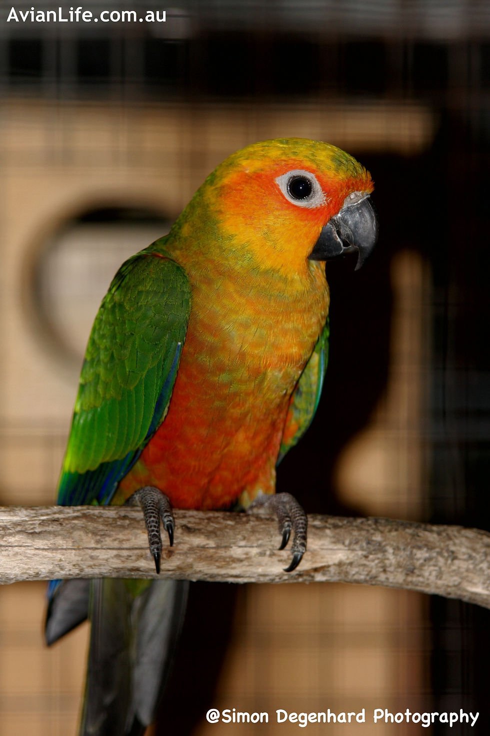 Mendag Budi Luncurkan Ekspor Susu ke Asia Tenggara