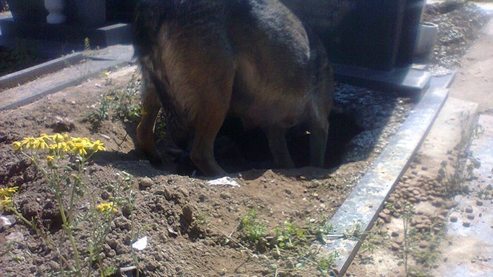 Squad WorldSBK Sudah Lengkap, Ini Timnya!