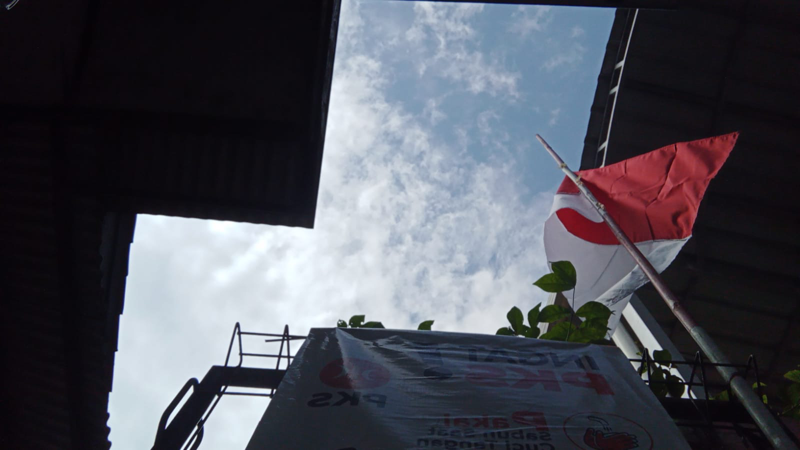 Profil Spesies Ikan Zebra Danio