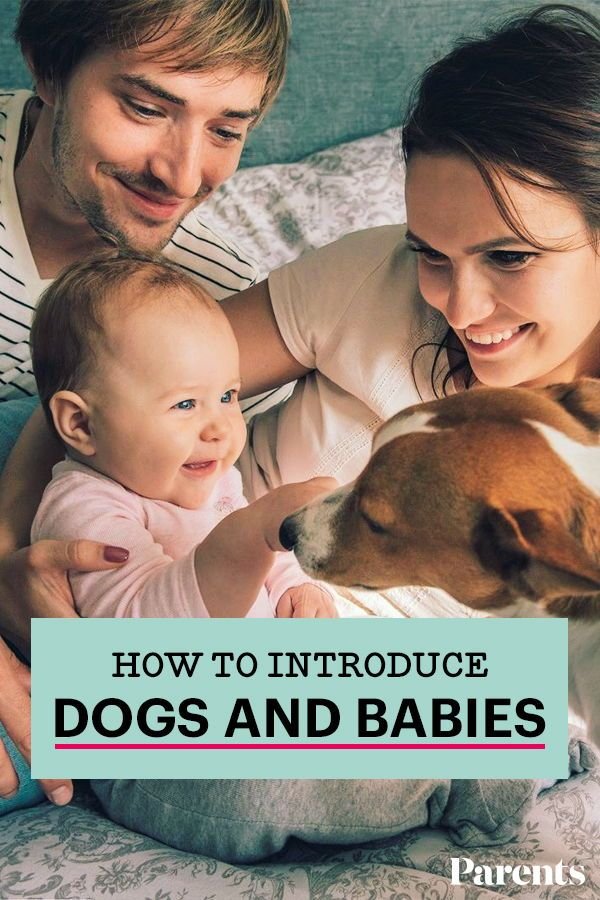 Honda Scoopy Coffee Rave: Kumpulkan Bikers Honda Scoopy di Pekanbaru