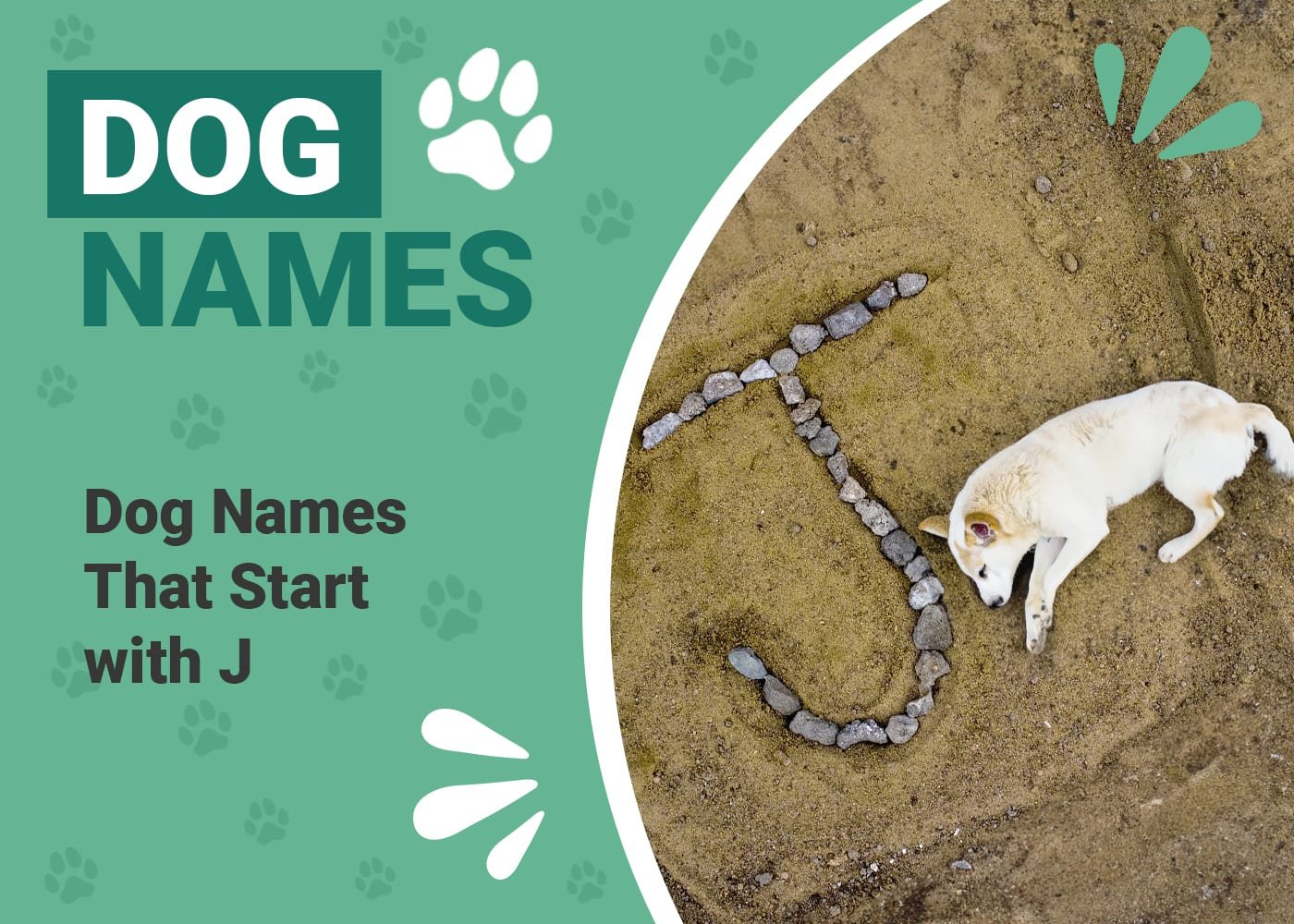 Nama hewan peliharaan unik yang dimulai dengan J