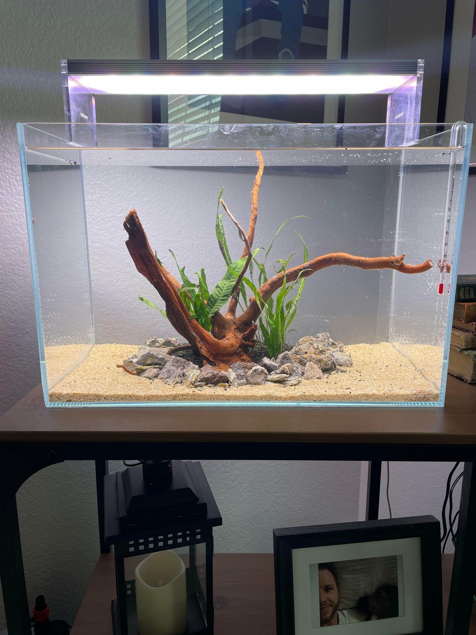 Cara Membuat dan Memelihara Akuarium dengan Perawatan Rendah