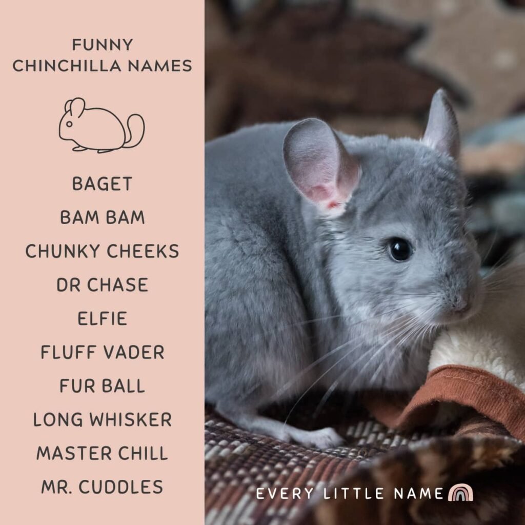 Mobil Bekas Harga Terjangkau! 519 Unit Toyota Yaris Mulai Rp 48 Juta Siap Dibawa Pulang!