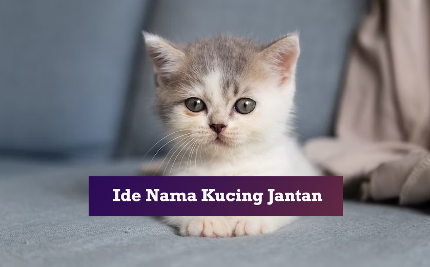 180 Nama Makanan untuk Kucing yang Suka Makan
