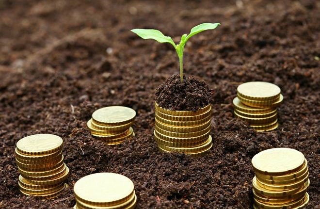 Kekayaan Elon Musk Tembus Rp7.800 Triliun, Setara 5 Negara!