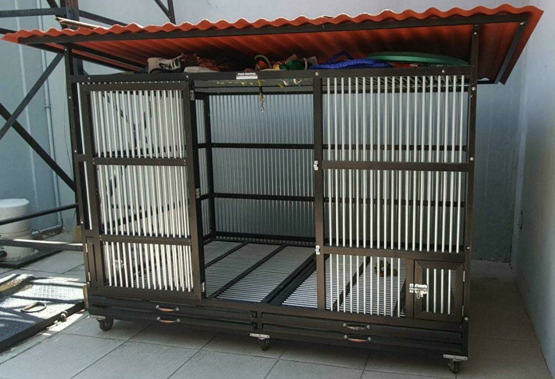 Cara Memperkenalkan Kandang kepada Anak Anjing