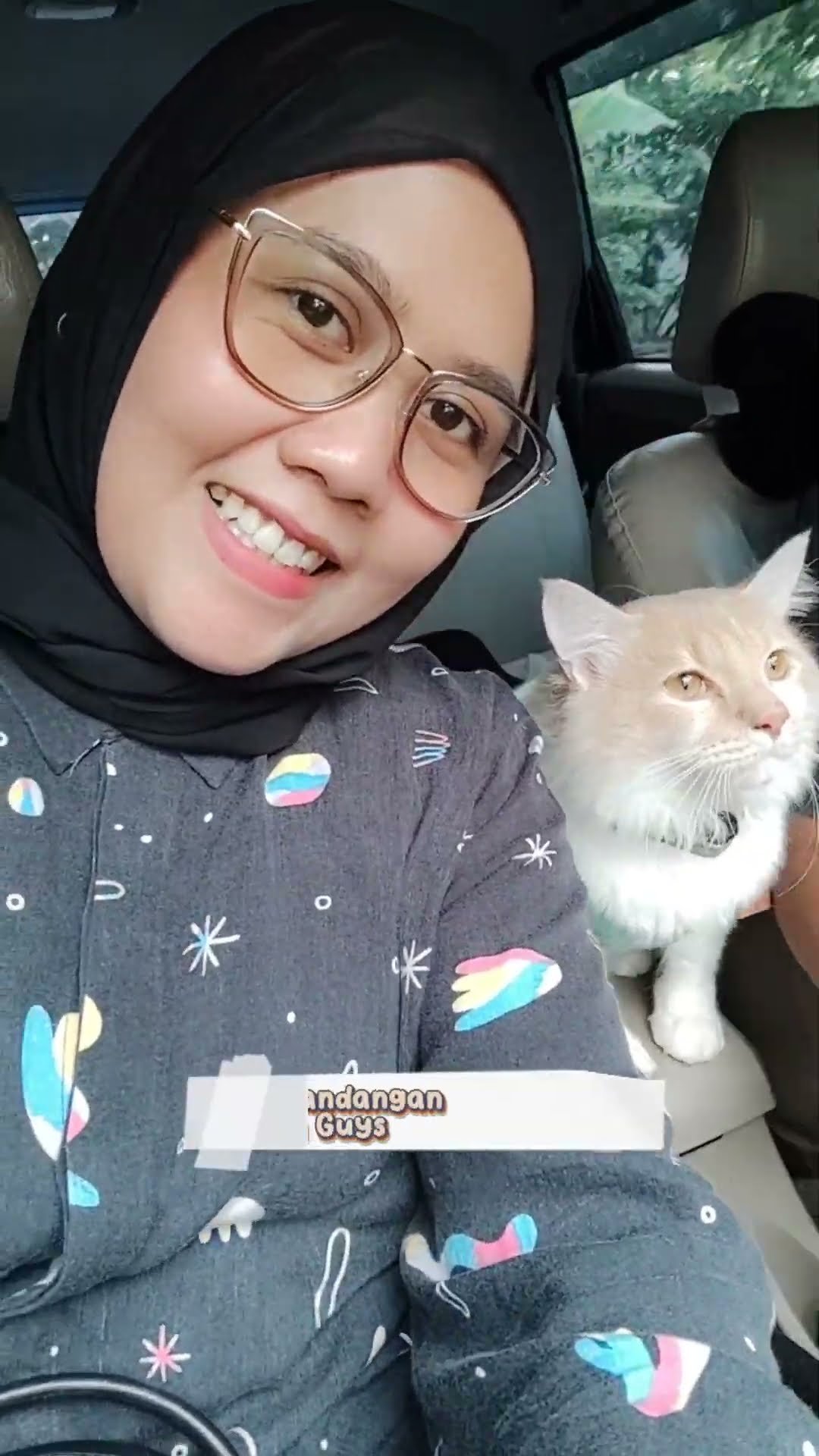 Pikirkan untuk Menenangkan Kucing Anda Saat Travelling? Baca Ini Dulu