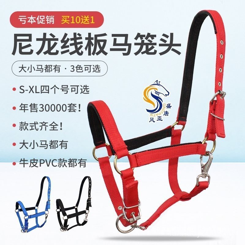 Apa yang Harus Dilakukan Ketika Kuda Menarik atau Mencakar