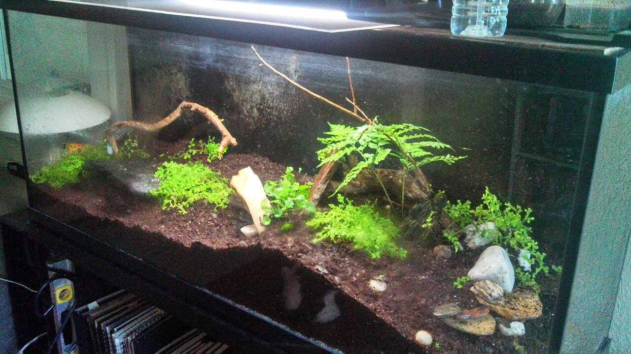 8 Motor Matic Terbaik untuk Touring Jarak Jauh: Honda vs Yamaha, Siapa Lebih Unggul?